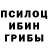 Псилоцибиновые грибы ЛСД Umed Urunov
