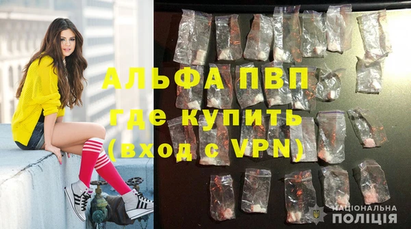тгк Богданович
