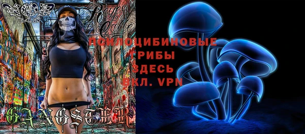 jwh Богородицк