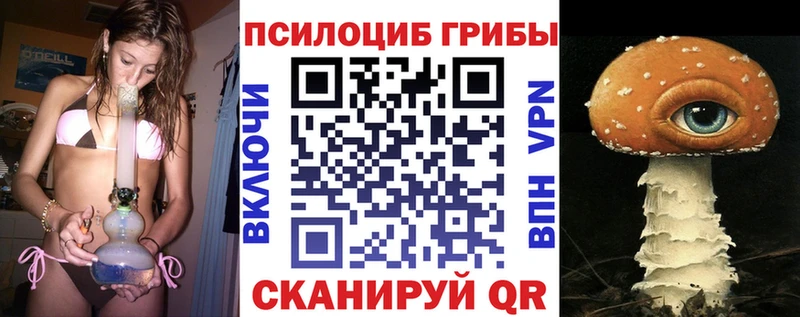 MEGA сайт  Кудымкар  Галлюциногенные грибы Magic Shrooms  цены  
