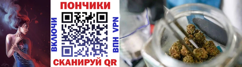 купить наркоту  Кудымкар  Канабис сатива 